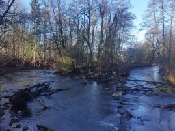 whatsapp image 2026-02-01 at 20.09.04 3